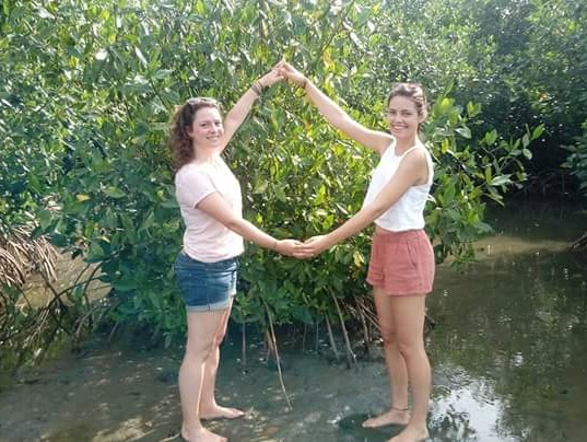 Manglar 1