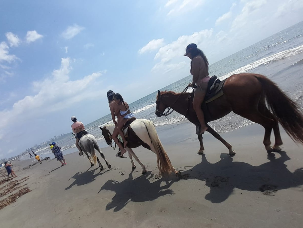 Paseo en Caballo 1