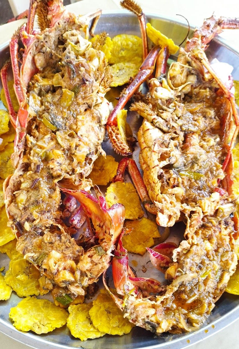Langosta